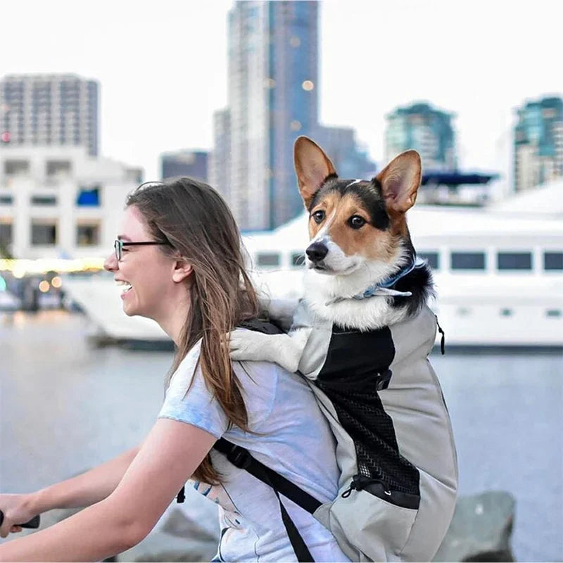 Nylon Dog Carrier Backpack for Small & Medium Dogs, Breathable Cycling Pet Carrier, Up to 30 kg (66 lb) - PhishStones Products