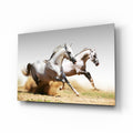 Two White Horses Dust Gallop Glass Wall Art