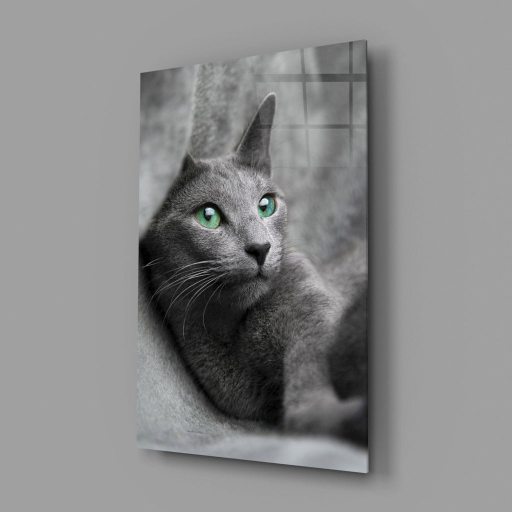 Green Eyed Gray Cat Glass Wall Art