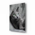 Green Eyed Gray Cat Glass Wall Art