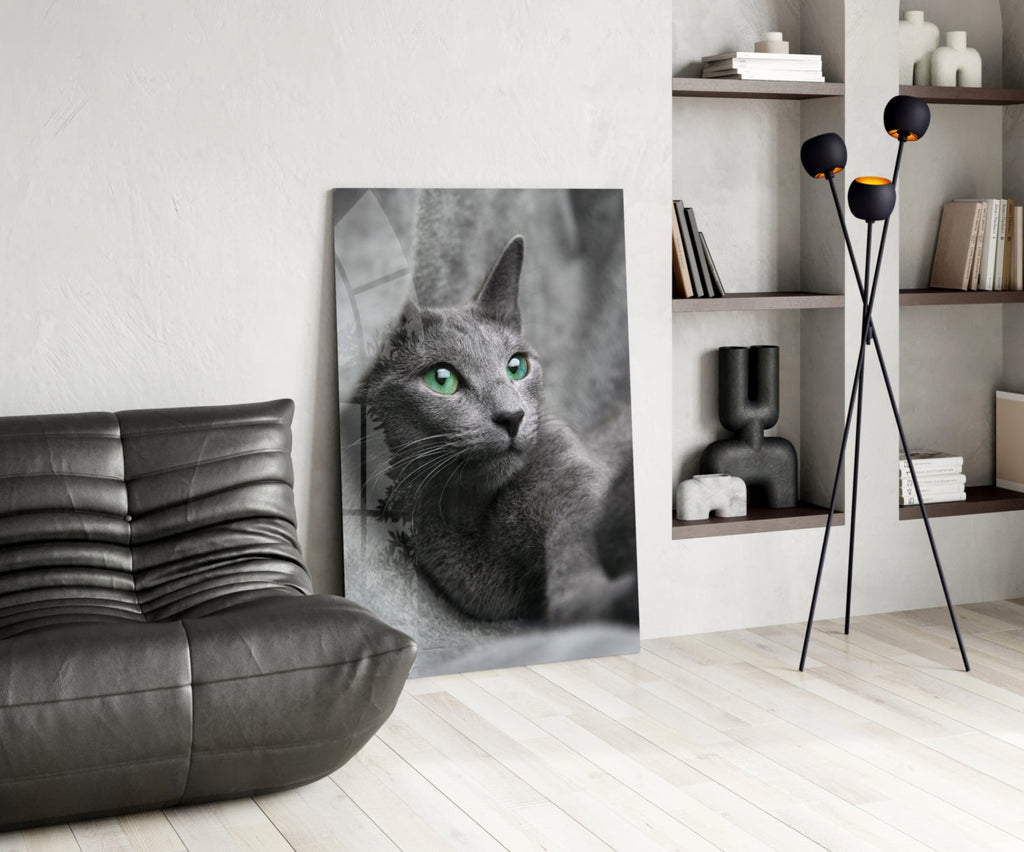 Green Eyed Gray Cat Glass Wall Art
