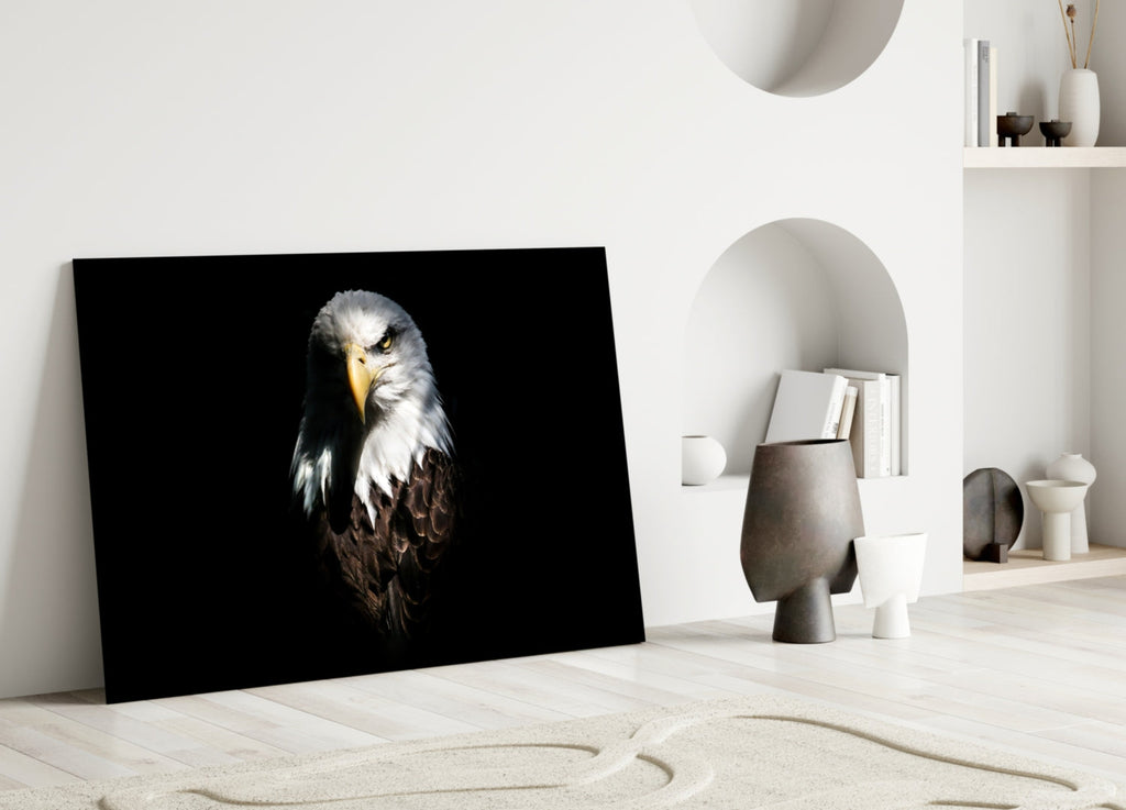 Dark Shadow Bald Eagle Glass Wall Art