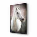 Serene White Horse Portrait Glass Wall Art