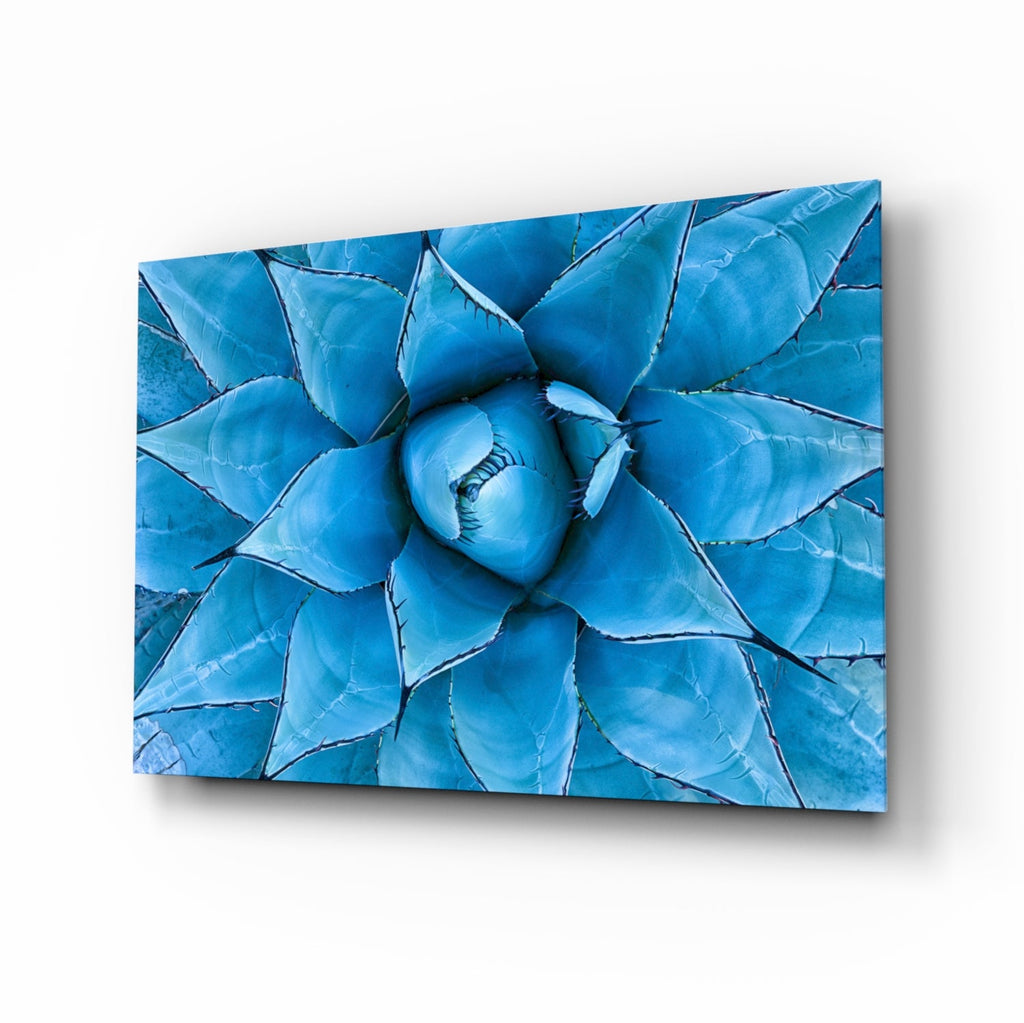 Blue Agave Succulent Rosette Glass Wall Art