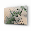 Green Dew Drops Dandelion Wisp Glass Wall Art