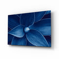 Indigo Blue Agave Petals Macro Glass Wall Art