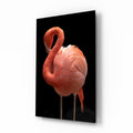 Coral Flamingo Curved Neck Glass Wall Art