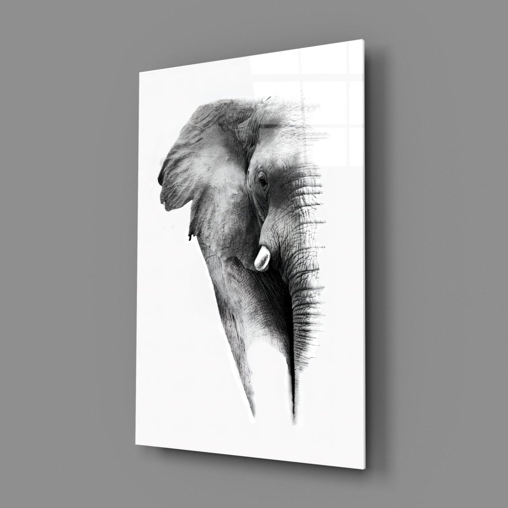 Faded Grayscale Elephant Sketch Glass Wall Art