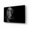 Tiger Emerging From Shadow Glass Wall Art