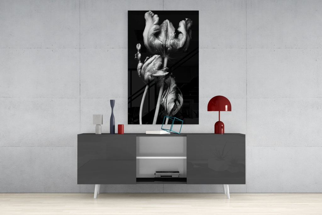 Three Parrot Tulips on Black Glass Wall Art