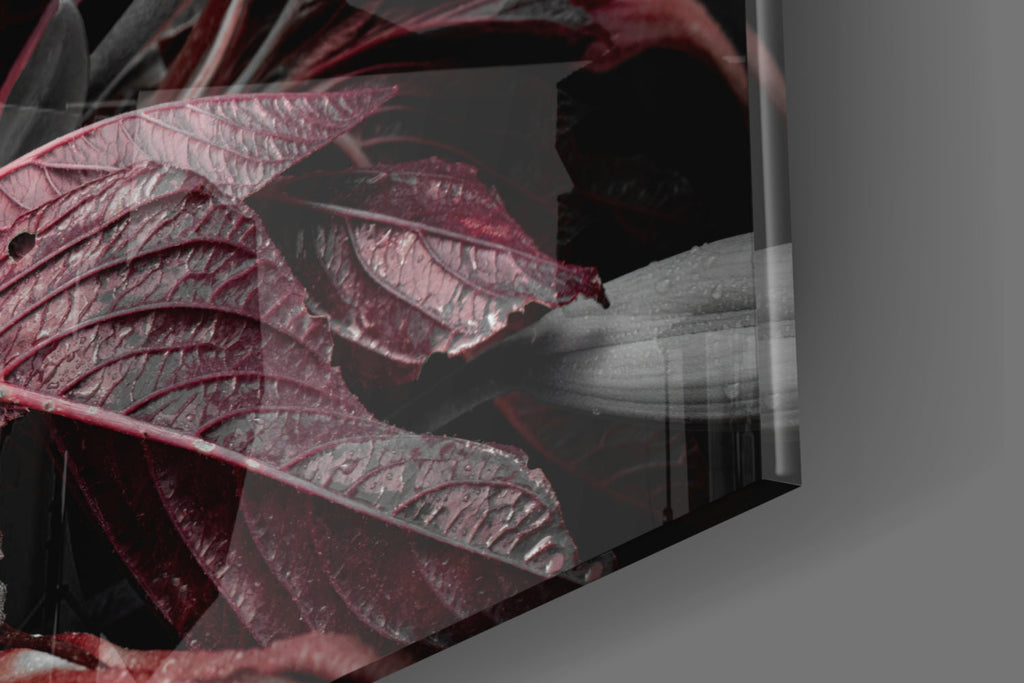 Crimson Dewy Lilies on Black Glass Wall Art