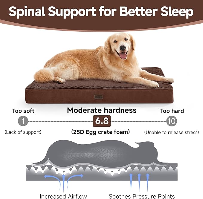OhGeni Orthopedic Waterproof & Machine Washable Dog Bed for Large Pets, Suitable for Crates, Cat Mat with 25D Egg Crate Foam, Non - Slip Bottom & Removable Cover, Invisible Zipper, 41 Inches(Brown) - PhishStones Products