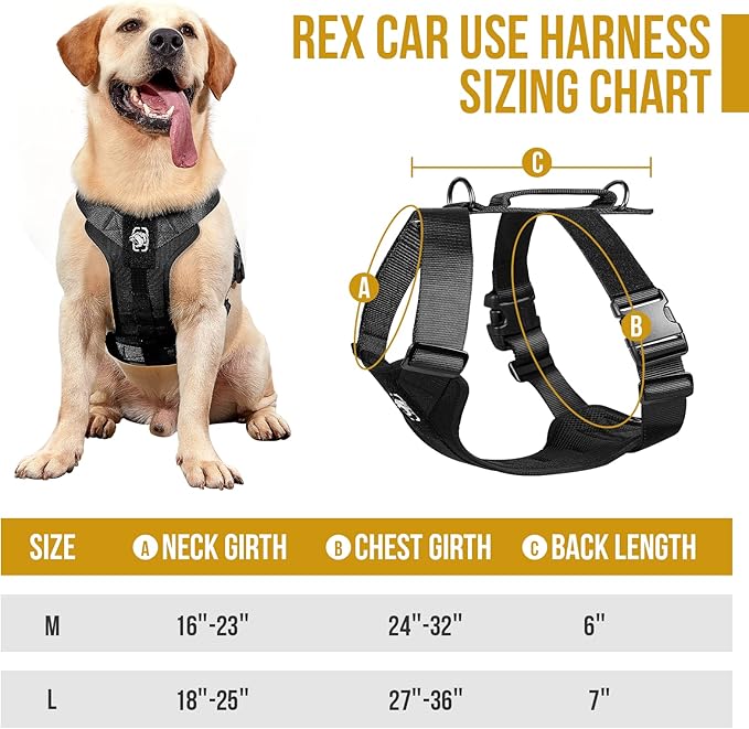 OneTigris Dog Safety Vest Harness, REX Car Use Dog Harness Adjustable Pet Harness with Leash for Medium Large Dogs(Black,L) - PhishStones Products