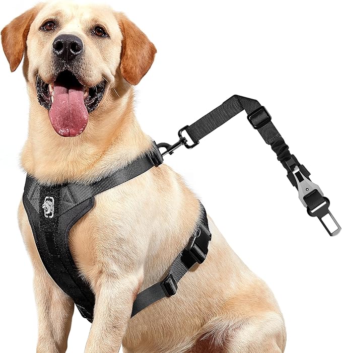 OneTigris Dog Safety Vest Harness, REX Car Use Dog Harness Adjustable Pet Harness with Leash for Medium Large Dogs(Black,L) - PhishStones Products