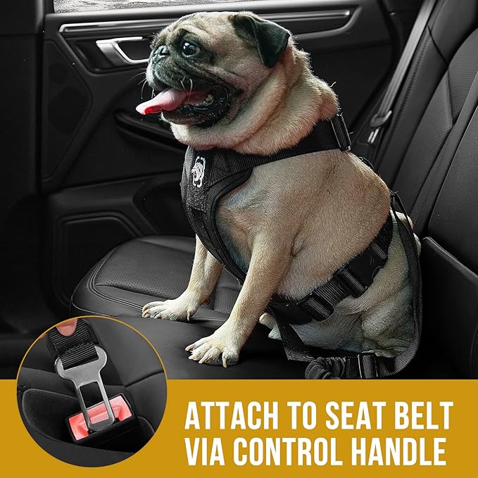 OneTigris Dog Safety Vest Harness, REX Car Use Dog Harness Adjustable Pet Harness with Leash for Medium Large Dogs(Black,L) - PhishStones Products
