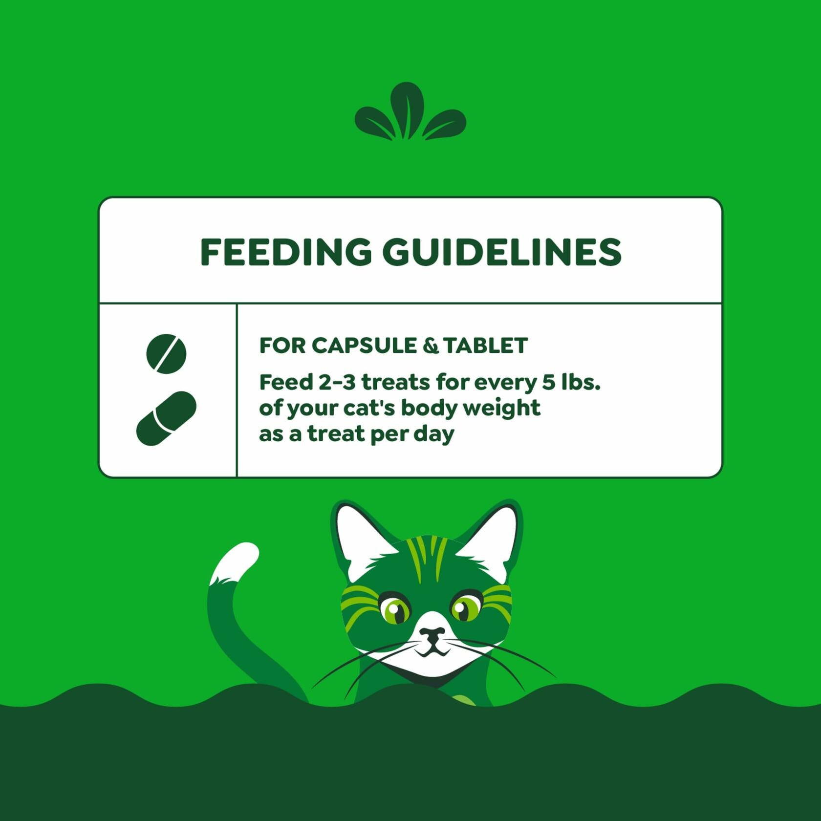 BestBy07/25 Greenies Feline Pill Pockets Cat Treats Chicken Flavor 3oz 85ct