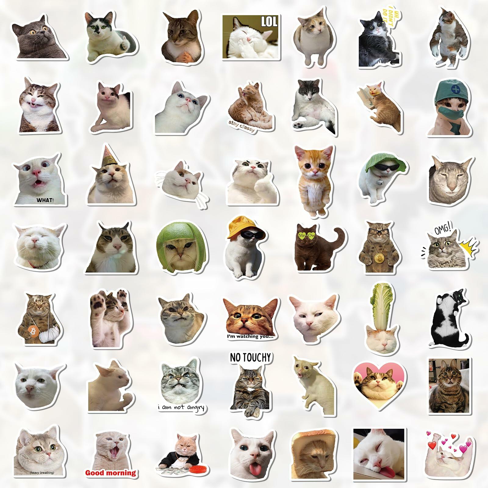 GizmoBox 100pcs Cute Cat Meme Stickers Waterproof Vinyl Decals for Laptop Kids