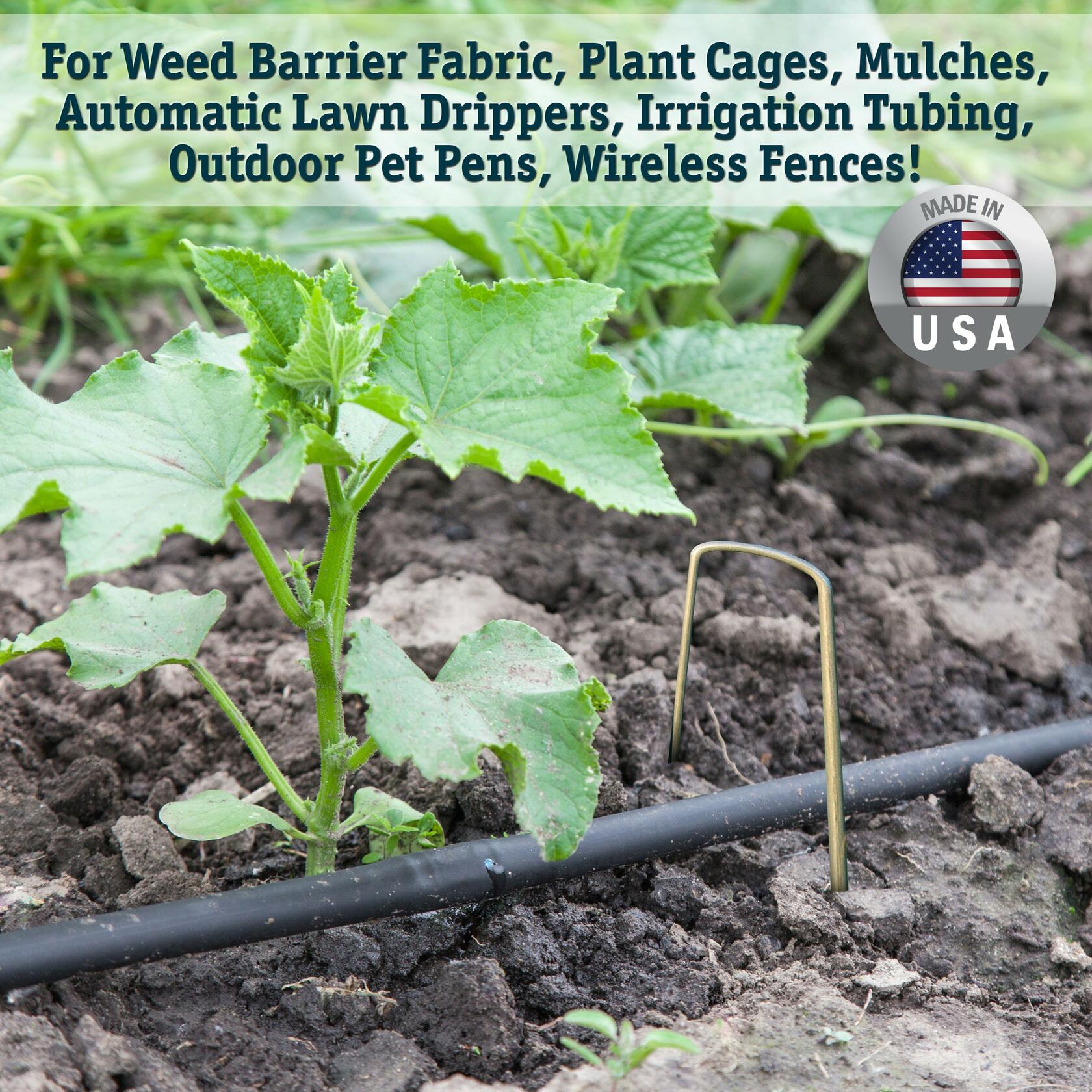 The 5 Star Collection 100 Galvanized Landscape Staples Heavy Duty Garden Stakes