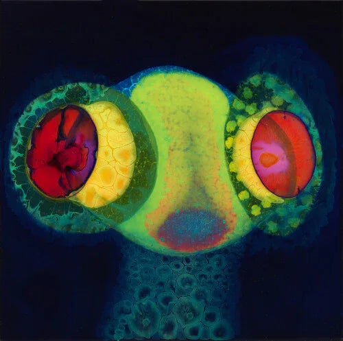 Osees - Sorcs 80 (Indie Exclusive, Green Vinyl, Magenta Vinyl, Limited Edition) (LP) - PhishStones Products