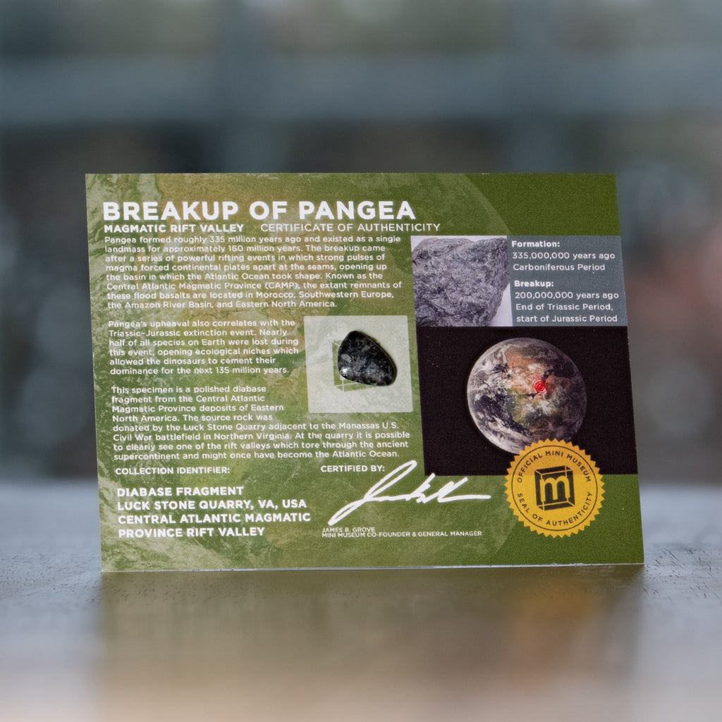 Breakup of Pangea - Display Card