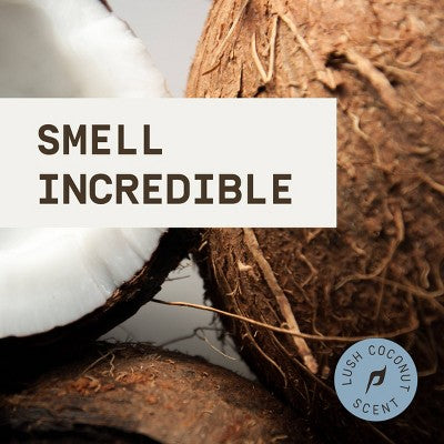 Papatui Men's Long - Lasting Odor Protection Body Deodorant Spray Lush Coconut 5oz - Imperfect Container - PhishStones Products