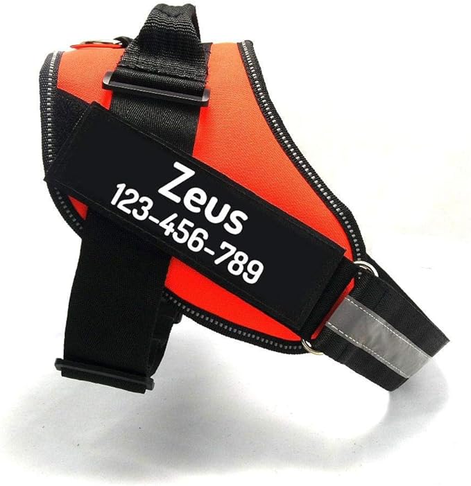 PawPawify Custom No Pull Dog Harness with Name and Phone Number, Heavy Duty Personalized Pet Vest to Prevent Tugging, Pulling, or Choking, Training and Walking (Orange, S (10 - 19LBS)) - PhishStones Products