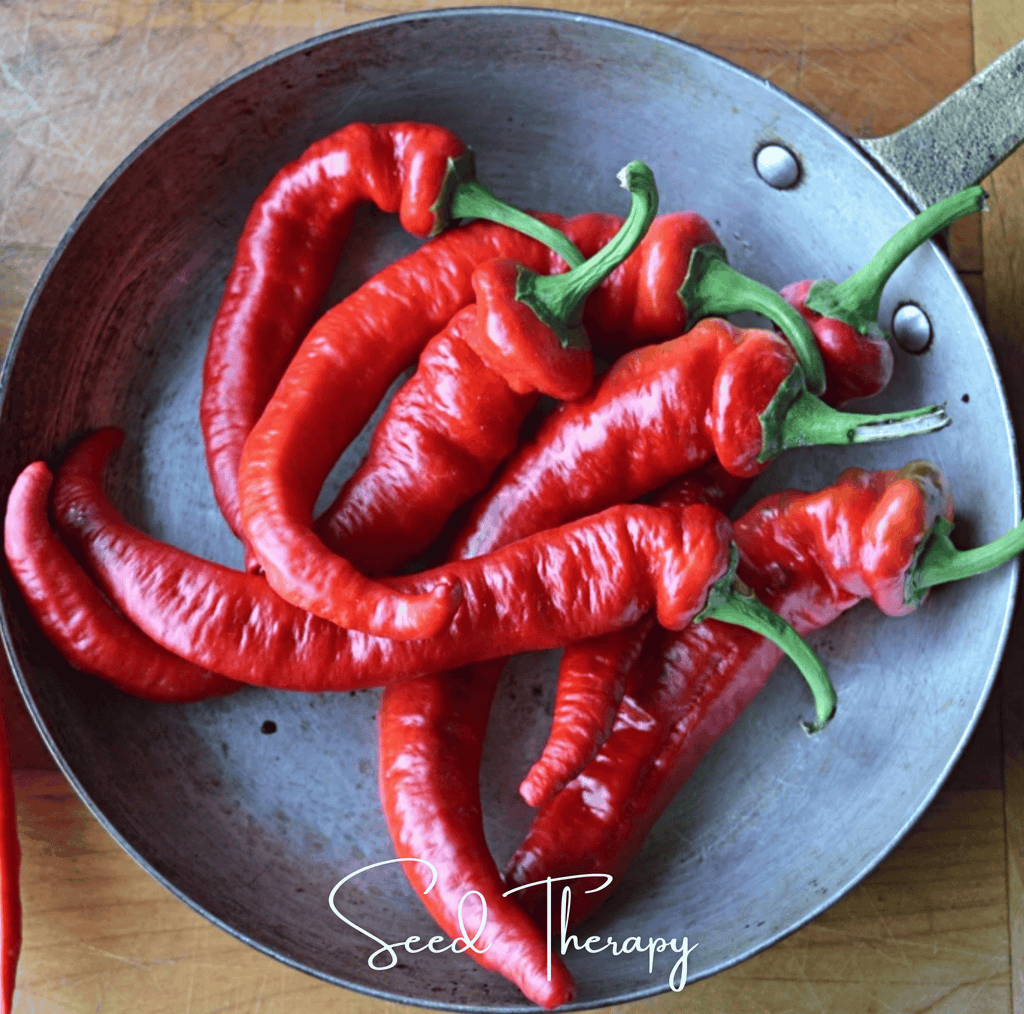 Jimmy Nardello's Pepper – 25 Seeds