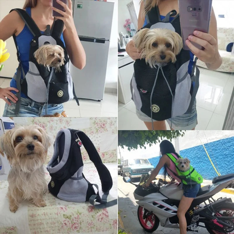 Pet Carrier Backpack for Dogs & Cats — Wearable Front/Back Mesh Travel Bag, Adjustable Double Shoulder, S/M/L (Up to 10 kg / 22 lb) - PhishStones Products
