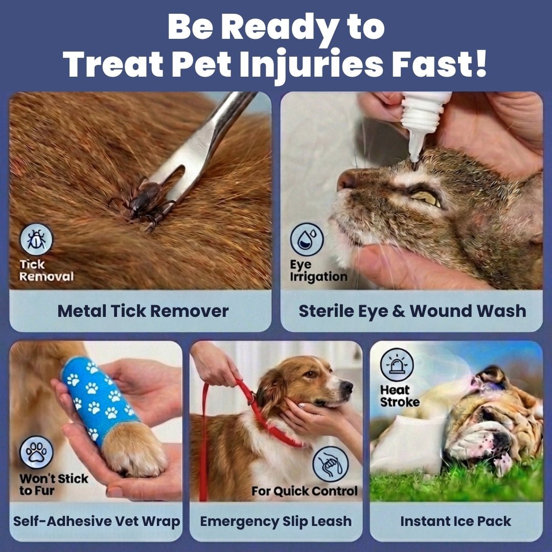 Pet First Aid Kit for Dogs & Cats with Vet - Approved Essentials - PhishStones Products