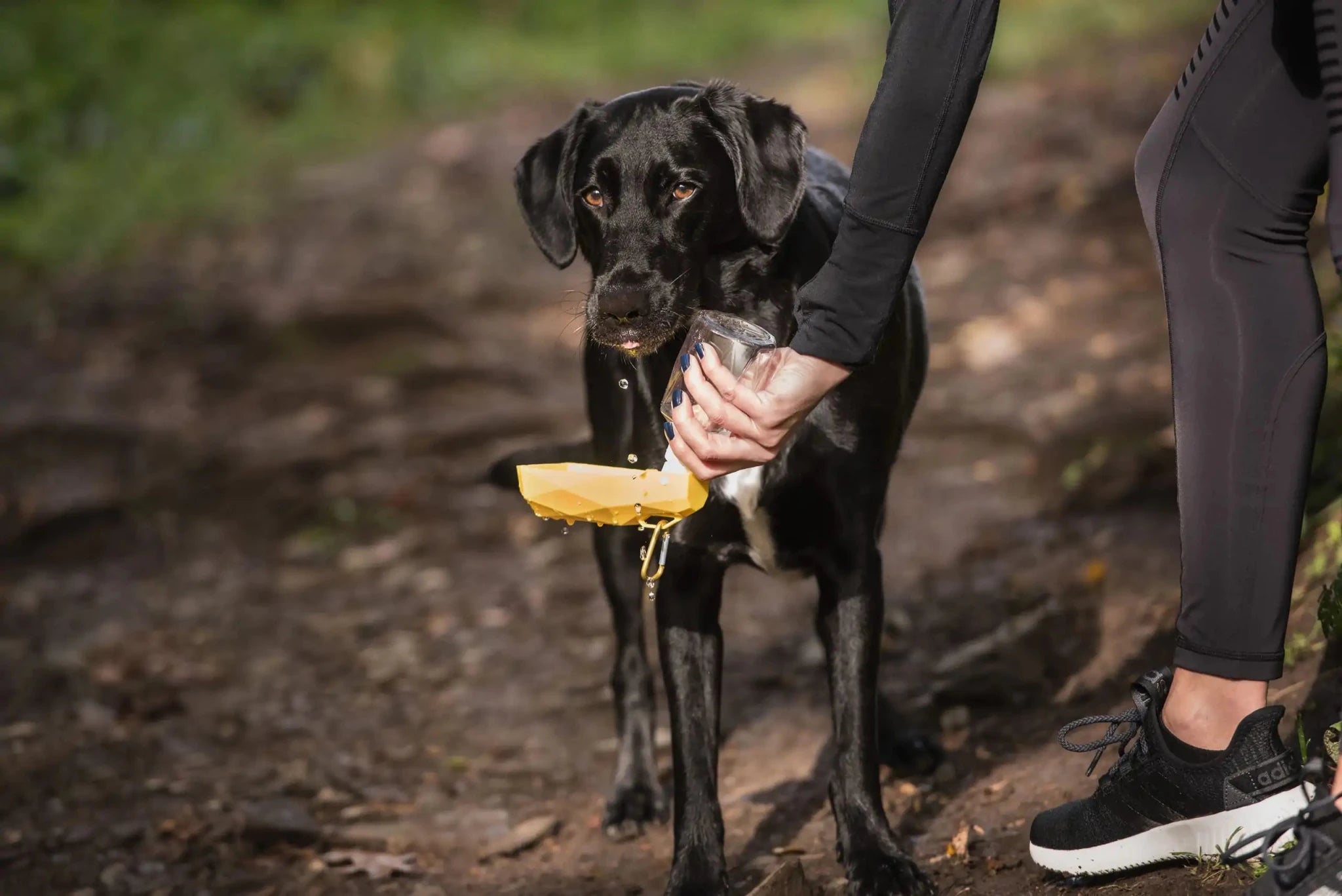 Pet Water Bottle - PhishStones Products
