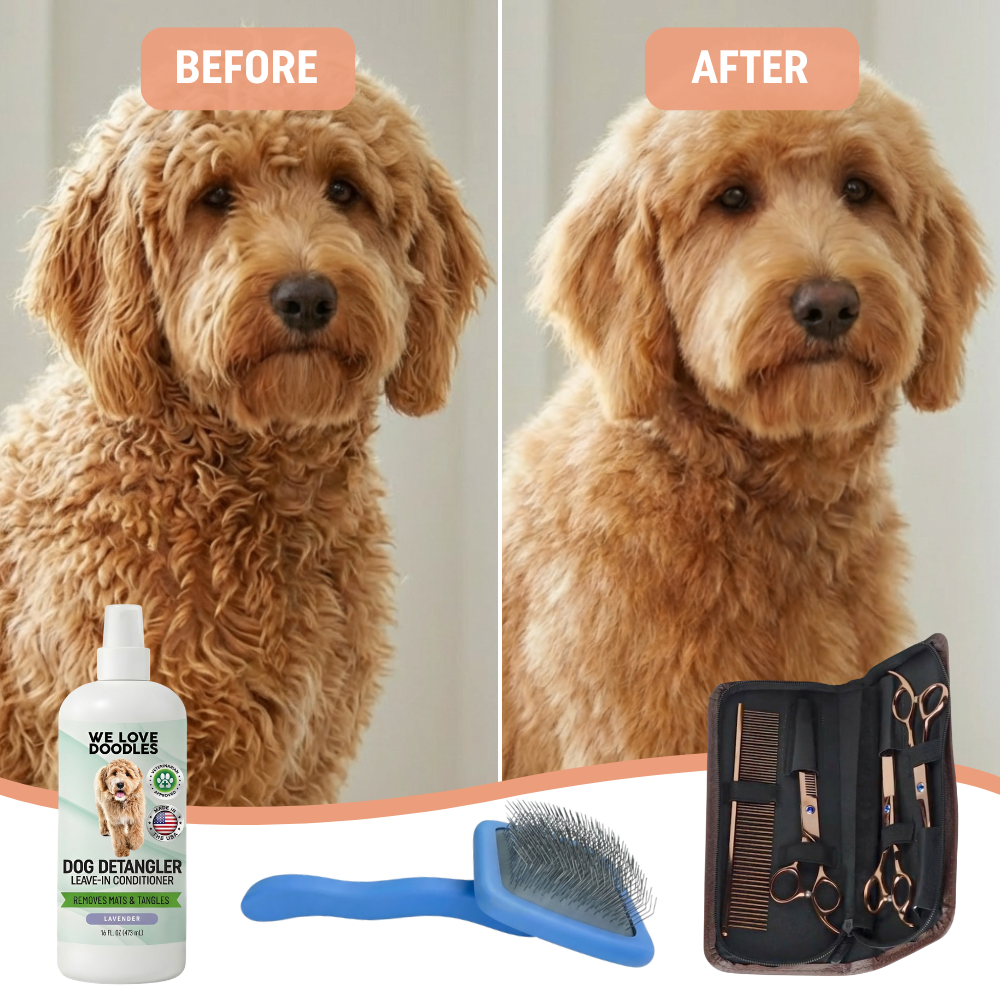 At Home Grooming Pack – Brush, Scissors and Detangler