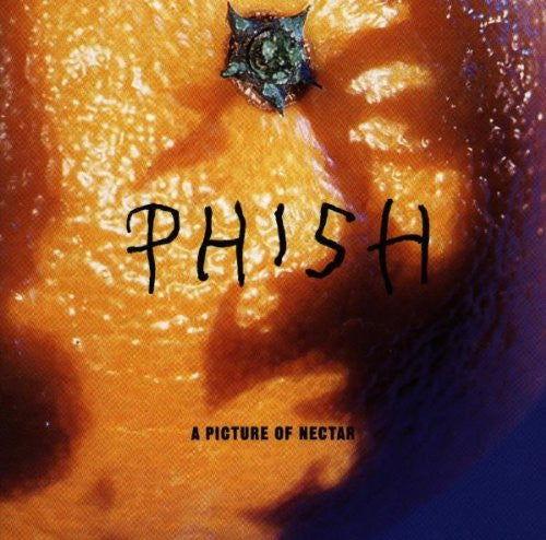Phish - A Picture of Nectar (Limited Edition, Grape Apple Pie Vinyl) (2 LP) - PhishStones Products