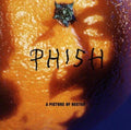 Phish - A Picture of Nectar (Limited Edition, Grape Apple Pie Vinyl) (2 LP) - PhishStones Products