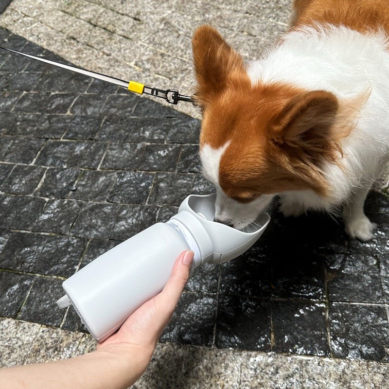 Portable Collapsible Pet Water Bottle by Milou & Lumi - PhishStones Products