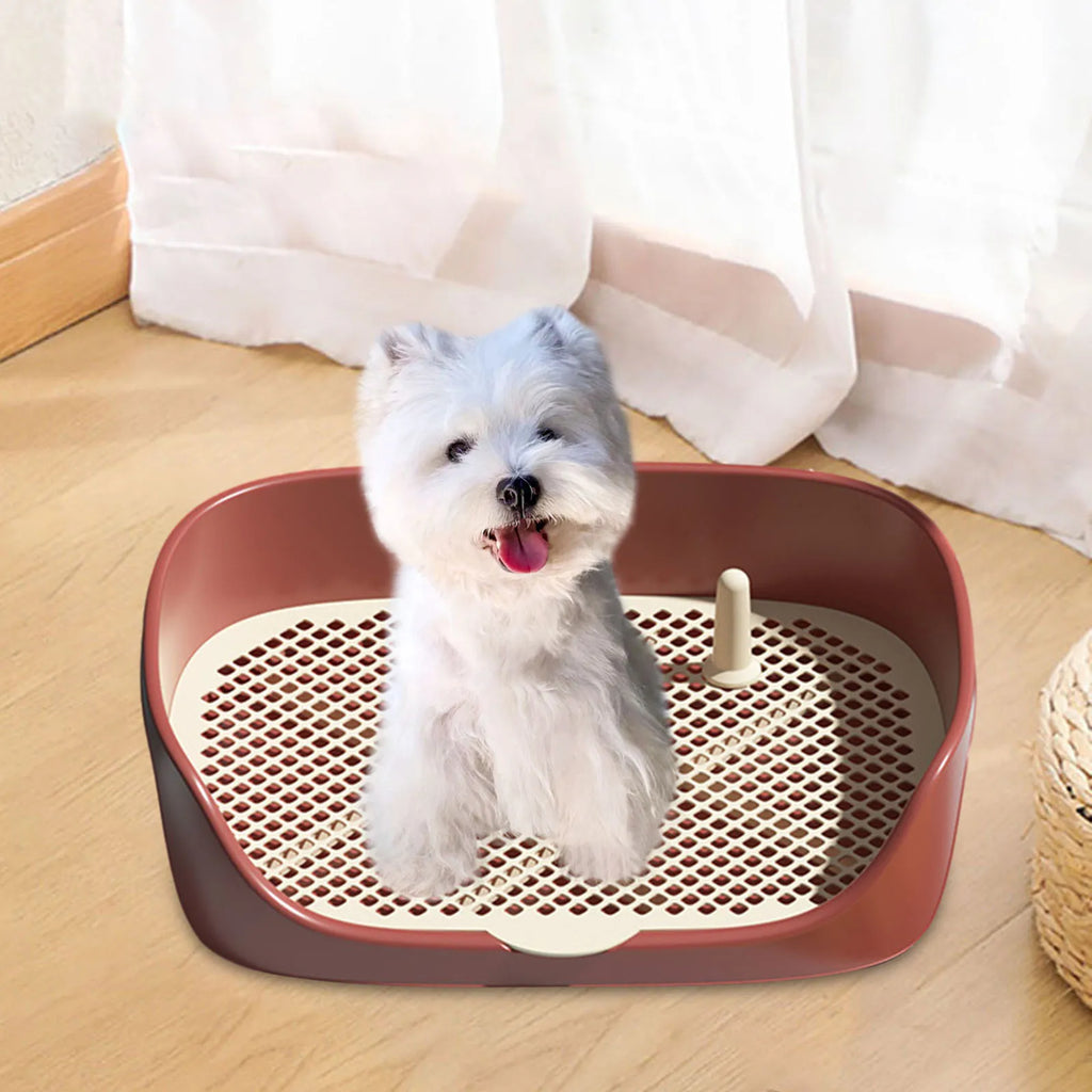 Portable Dog & Cat Training Potty with Splash Guard 15.75 x 11.81 x 4.33 in (40 x 30 x 11 cm) - Indoor/Outdoor Litter Box Trainer, Non - Slip Detachable Grid - PhishStones Products