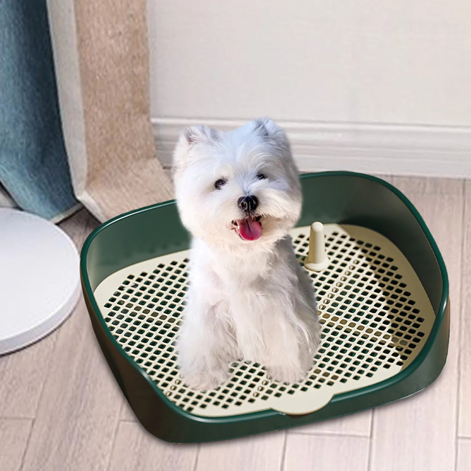 Portable Dog & Cat Training Potty with Splash Guard 15.75 x 11.81 x 4.33 in (40 x 30 x 11 cm) - Indoor/Outdoor Litter Box Trainer, Non - Slip Detachable Grid - PhishStones Products
