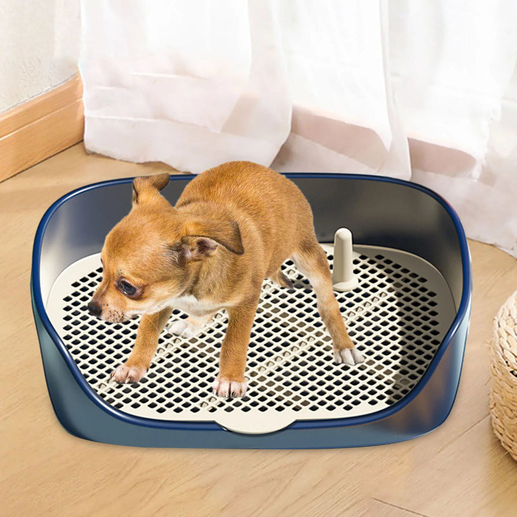 Portable Dog & Cat Training Potty with Splash Guard 15.75 x 11.81 x 4.33 in (40 x 30 x 11 cm) - Indoor/Outdoor Litter Box Trainer, Non - Slip Detachable Grid - PhishStones Products
