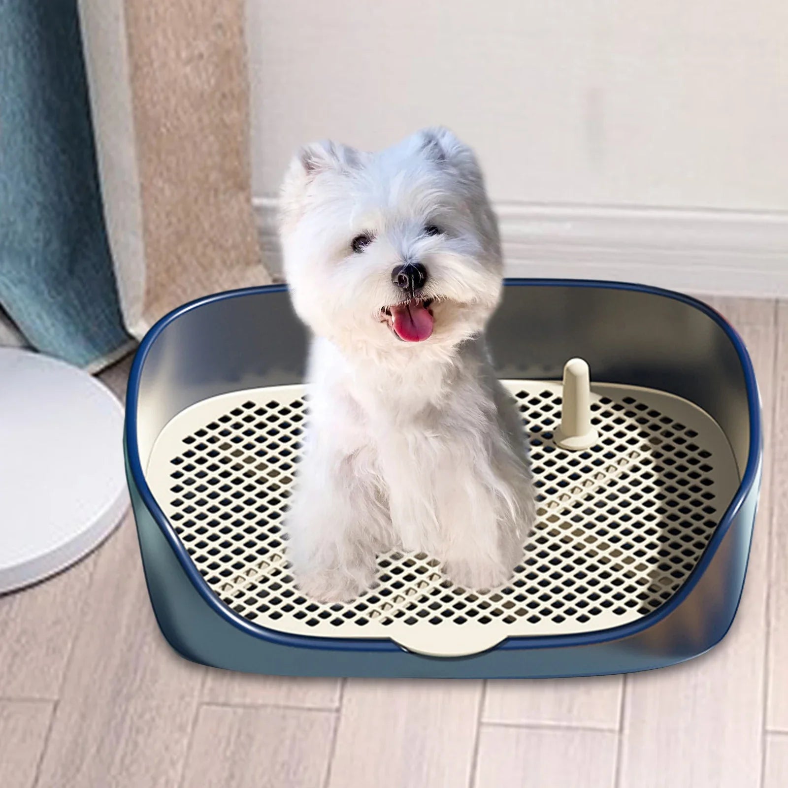 Portable Dog & Cat Training Potty with Splash Guard 15.75 x 11.81 x 4.33 in (40 x 30 x 11 cm) - Indoor/Outdoor Litter Box Trainer, Non - Slip Detachable Grid - PhishStones Products