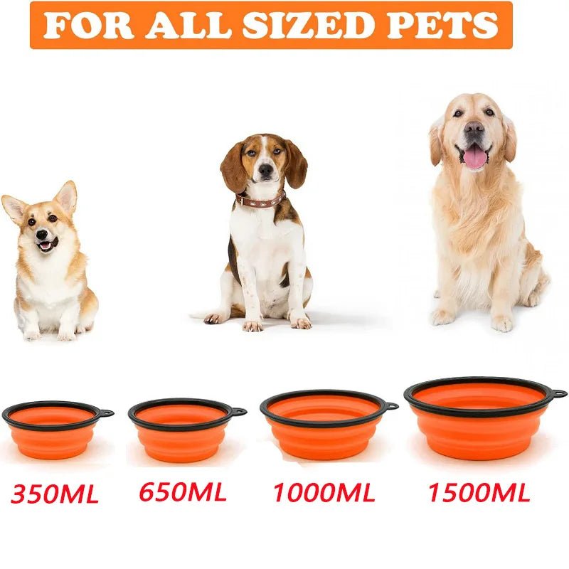 Portable Foldable Dog Bowl | Soft Silicone Travel Bowl for Food and Water - PhishStones Products