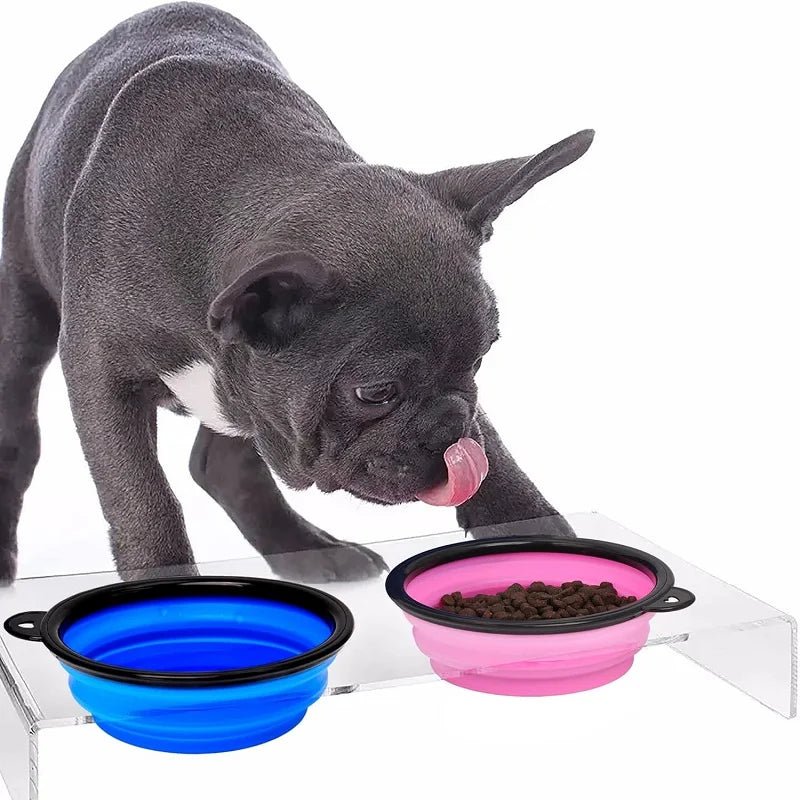 Portable Foldable Dog Bowl | Soft Silicone Travel Bowl for Food and Water - PhishStones Products