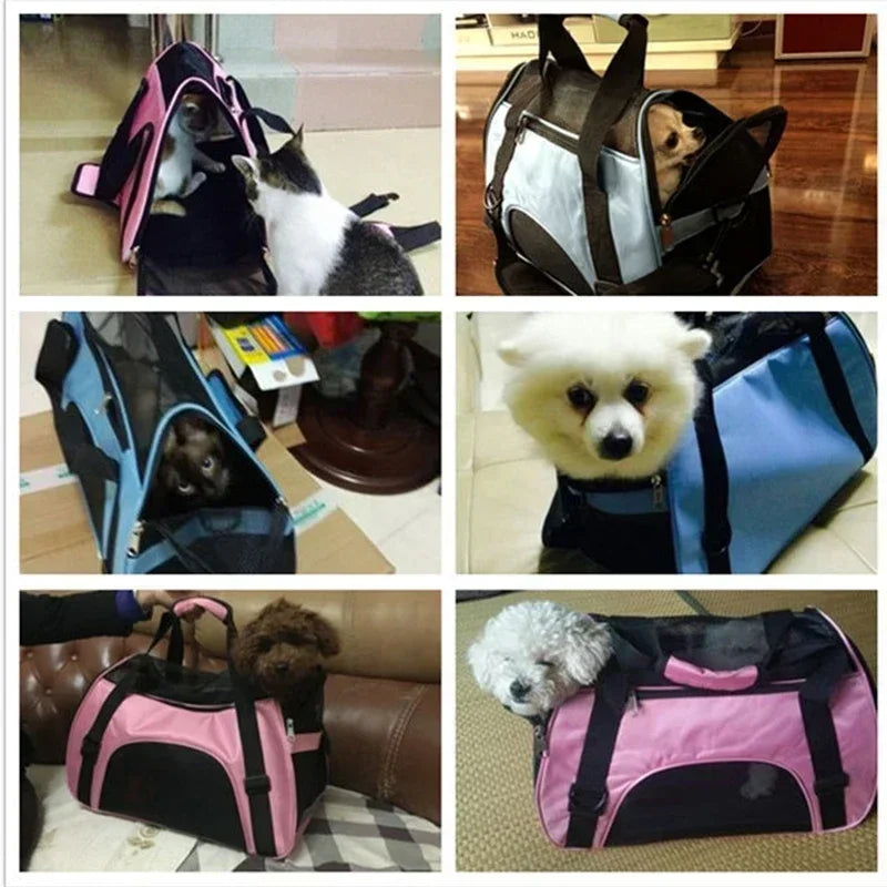 Portable Mesh Pet Carrier Bag – Breathable Foldable Travel Handbag for Small Dogs & Cats - PhishStones Products