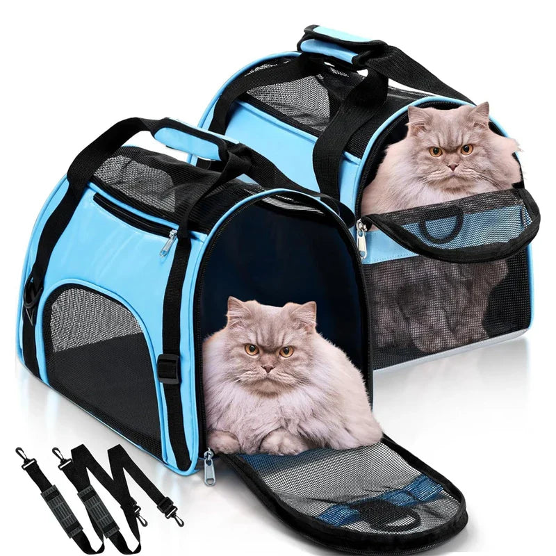 Portable Mesh Pet Carrier – Breathable Foldable Travel Handbag for Cats & Small Dogs - PhishStones Products