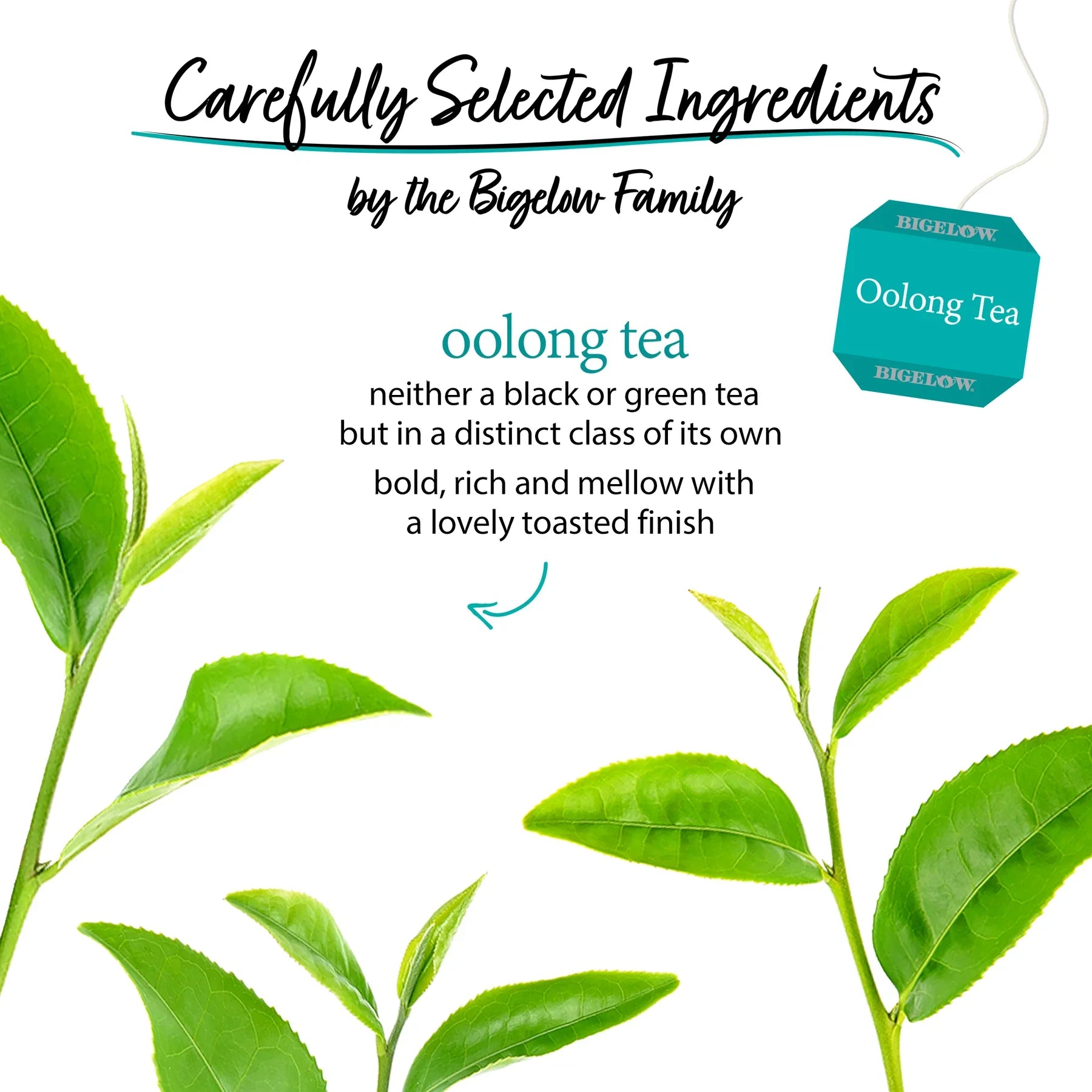 Bigelow Revitalizing Oolong Tea, 20 Tea Bags, Pack of 6