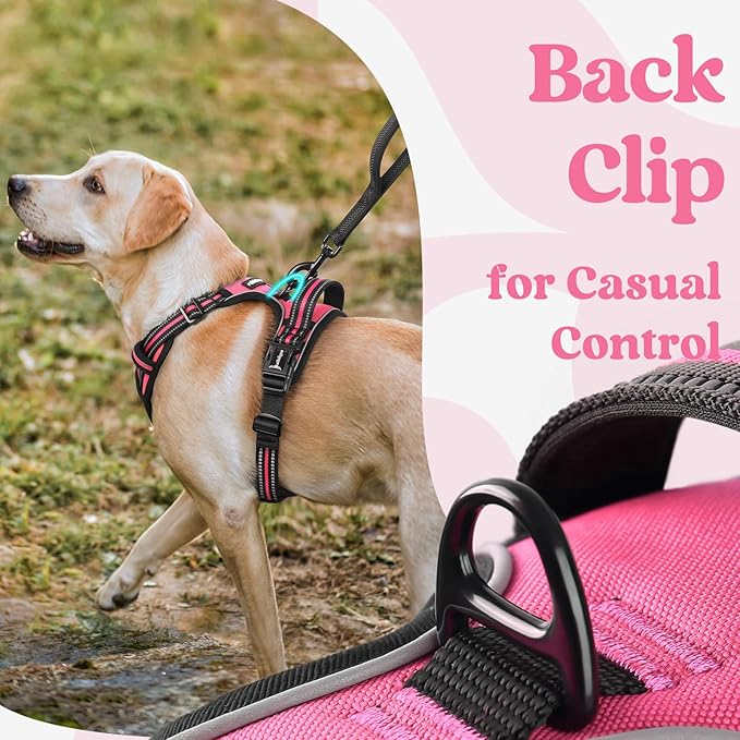 rabbitgoo Dog Harness for Large, No Pull Pet Harness with 3 Buckles, Adjustable Soft Padded Vest with Control Handle, Walking Reflective Pet Vest for Extra Large Dogs, Rose Pink, XL - PhishStones Products