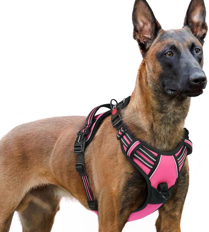 rabbitgoo Dog Harness for Large, No Pull Pet Harness with 3 Buckles, Adjustable Soft Padded Vest with Control Handle, Walking Reflective Pet Vest for Extra Large Dogs, Rose Pink, XL - PhishStones Products