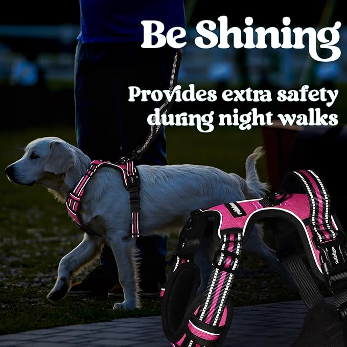 rabbitgoo Dog Harness for Large, No Pull Pet Harness with 3 Buckles, Adjustable Soft Padded Vest with Control Handle, Walking Reflective Pet Vest for Extra Large Dogs, Rose Pink, XL - PhishStones Products