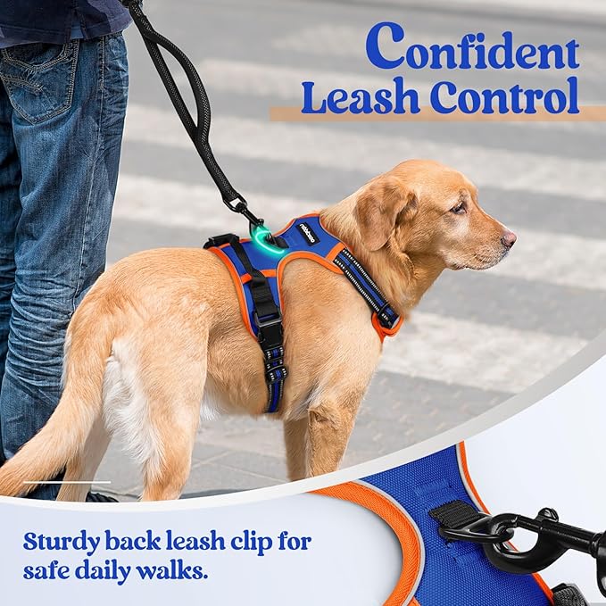 rabbitgoo Dog Harness No Pull with 2 Leash Clips, Adjustable Soft Padded, Reflective Oxford No Choke Pet Vest with Easy Control Handle for Large Dogs, Blue & Orange, XL - PhishStones Products