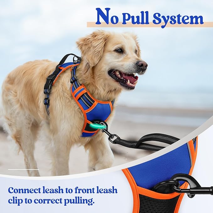 rabbitgoo Dog Harness No Pull with 2 Leash Clips, Adjustable Soft Padded, Reflective Oxford No Choke Pet Vest with Easy Control Handle for Large Dogs, Blue & Orange, XL - PhishStones Products