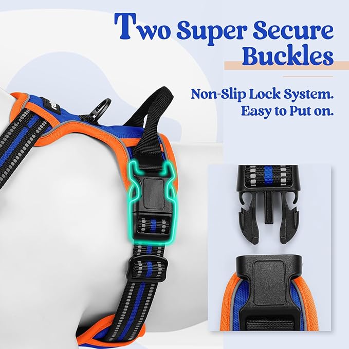 rabbitgoo Dog Harness No Pull with 2 Leash Clips, Adjustable Soft Padded, Reflective Oxford No Choke Pet Vest with Easy Control Handle for Large Dogs, Blue & Orange, XL - PhishStones Products