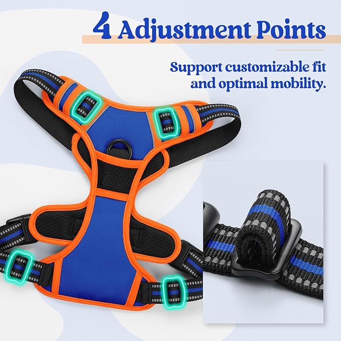 rabbitgoo Dog Harness No Pull with 2 Leash Clips, Adjustable Soft Padded, Reflective Oxford No Choke Pet Vest with Easy Control Handle for Large Dogs, Blue & Orange, XL - PhishStones Products